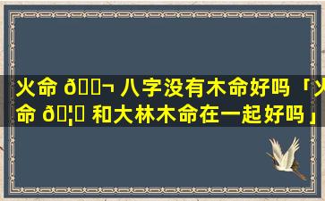 火命 🐬 八字没有木命好吗「火命 🦊 和大林木命在一起好吗」